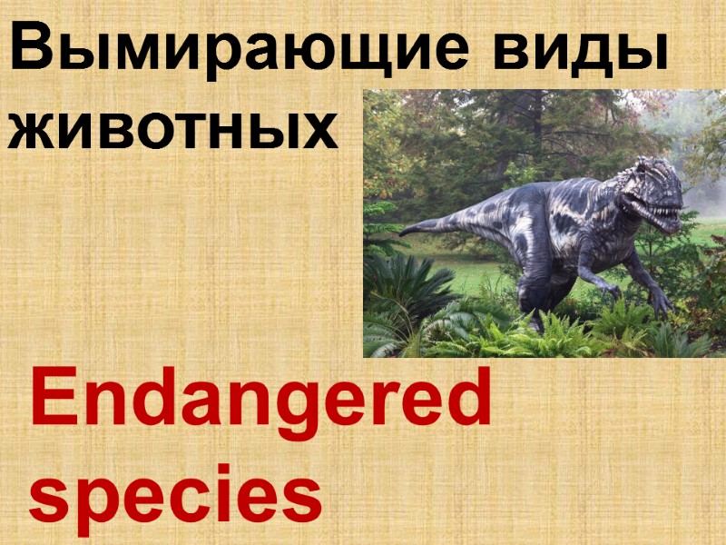 Endangered species  Вымирающие виды животных